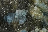 Blue Cubic Fluorite on Smoky Quartz - China #163163-1